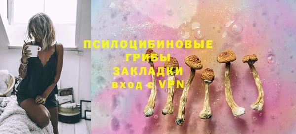 хмурый Зеленокумск