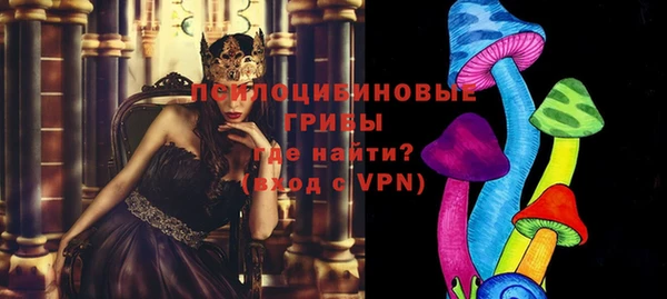 амф Зерноград
